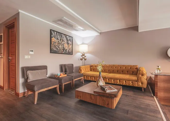 Orka Cove Penthouse & Adults Only 4* 费特希耶